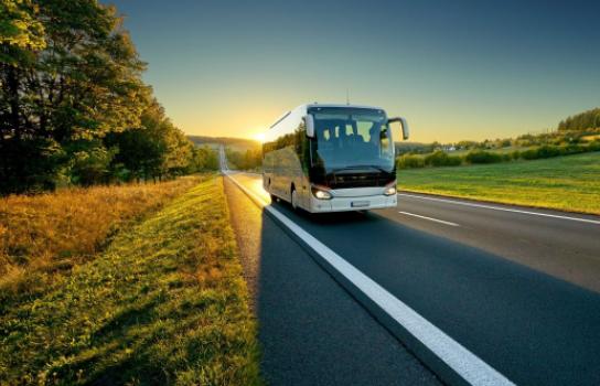Experience Motorcoach Tours