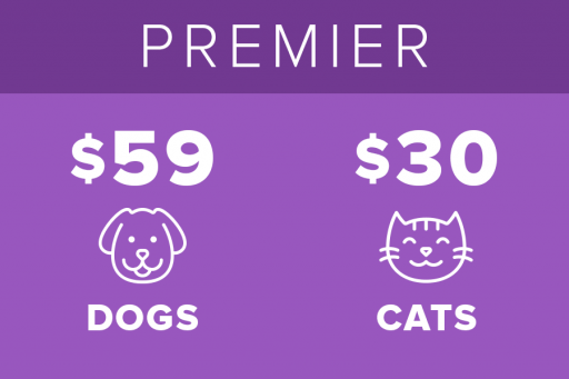 Premier Pet Insurance