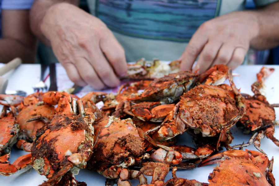 Baltimore Crab Feast